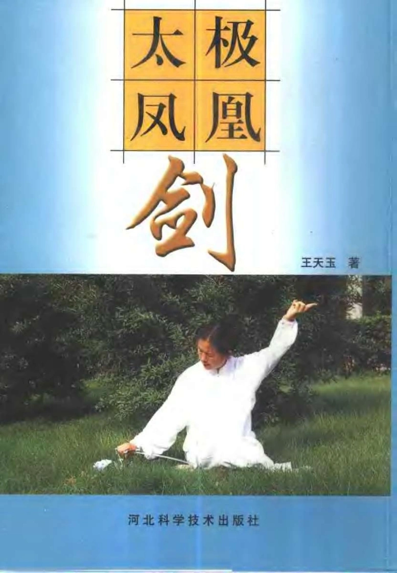 《太极凤凰剑》王天玉-四书格