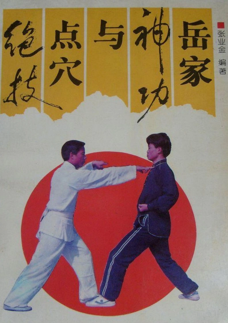 《岳家神功与点穴绝技》张业金-四书格