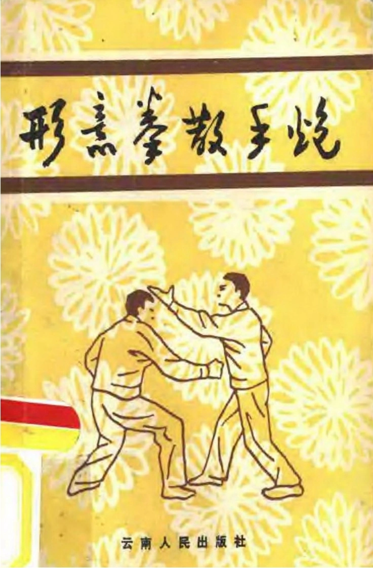 《形意拳散手炮》沙国政-四书格