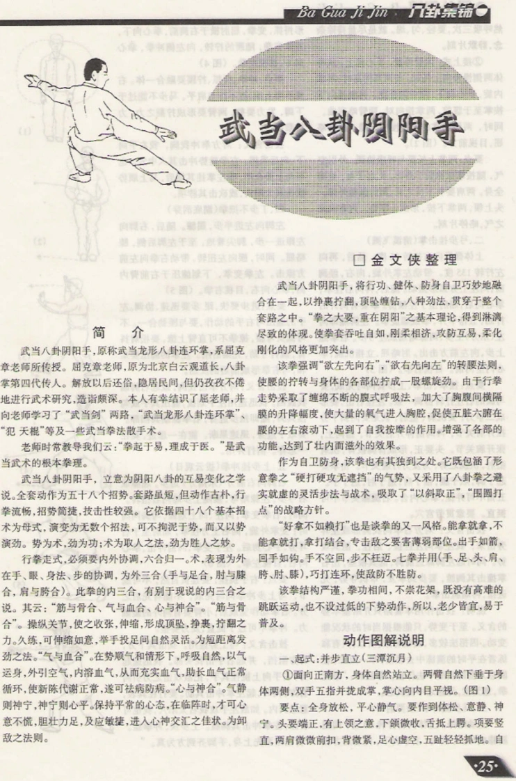 《武当八卦阴阳手》金文侠-四书格