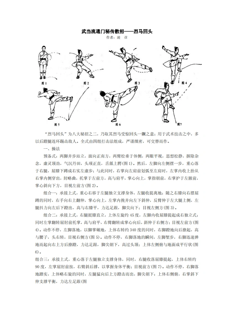 《武当流通门秘传散招：烈马回头》凌召-四书格