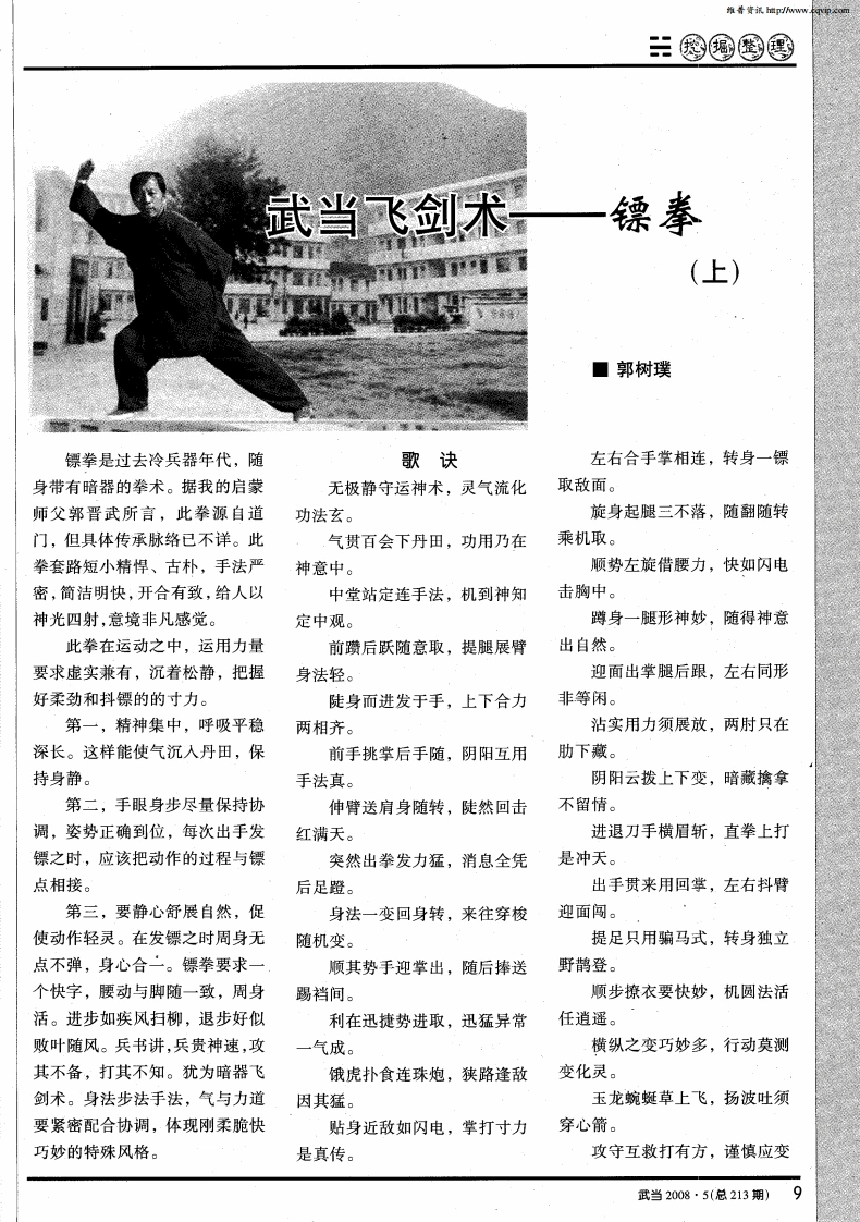 《武当飞剑术——镖拳》郭树璞-四书格