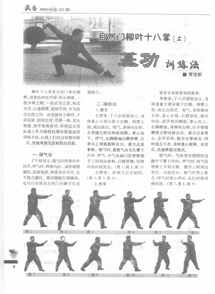 《自然门柳叶十八掌（上）·基功训练法》黄俊新-四书格