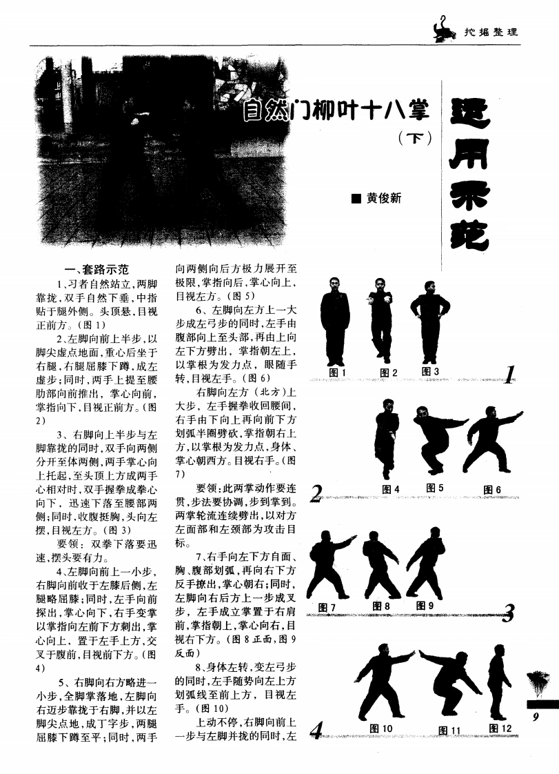 《自然门柳叶十八掌（下）·运用示范》黄俊新-四书格