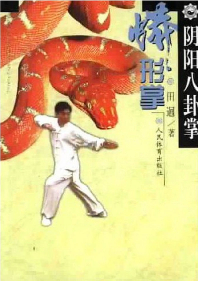《阴阳八卦掌·蟒形掌》田迴-四书格