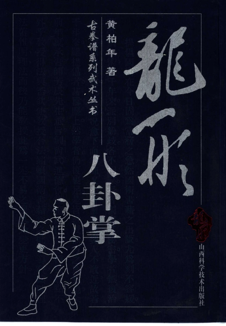 《龙形八卦掌》黄柏年-四书格