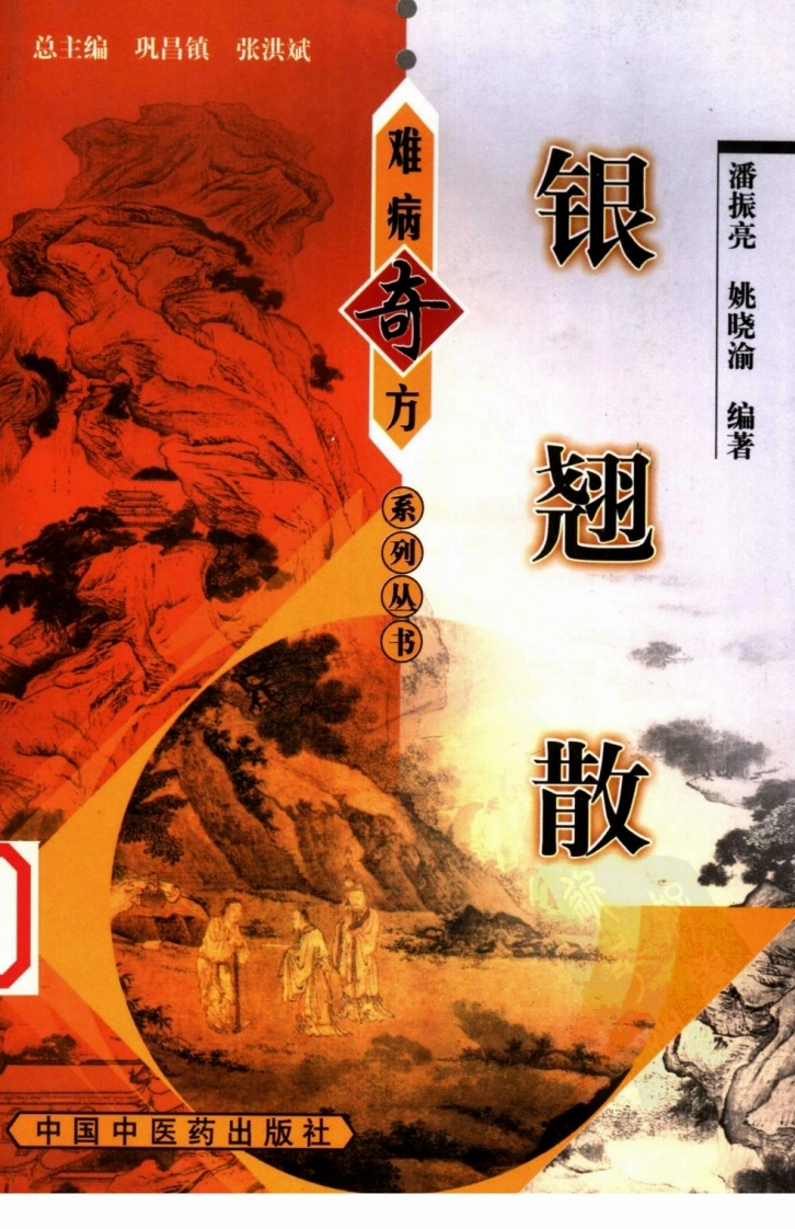【09】《银翘散》潘振亮，姚晓渝编著-四书格
