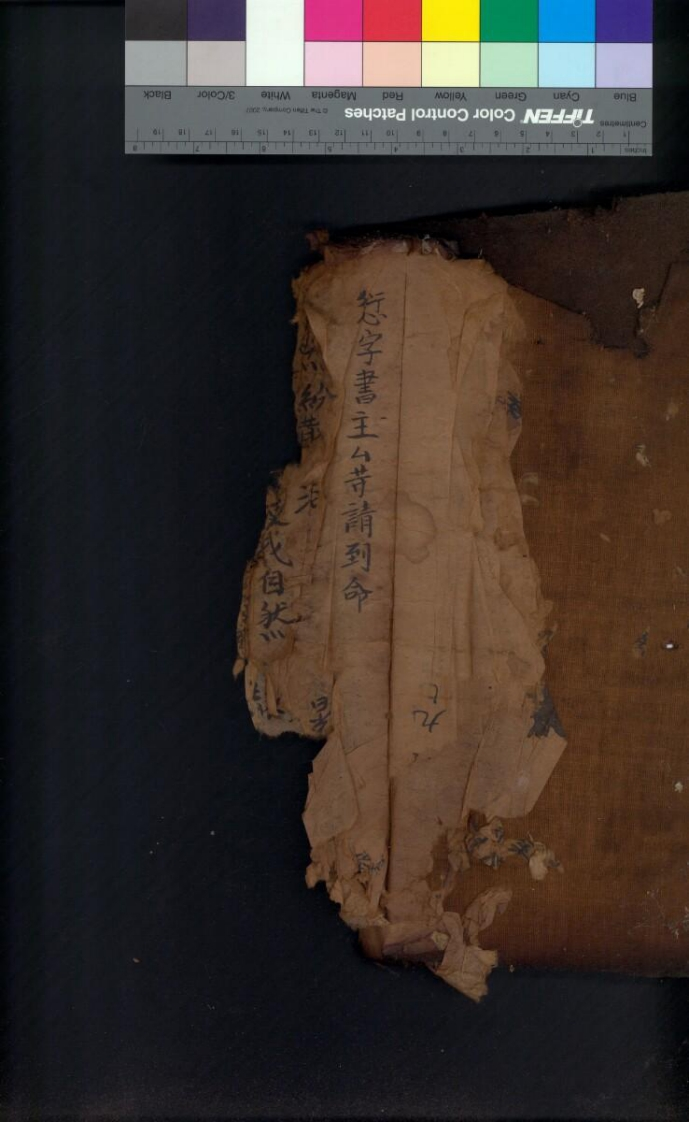 一本万范完满科