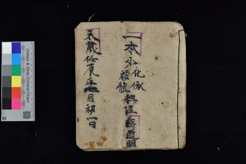 一本小化依按龙科24页