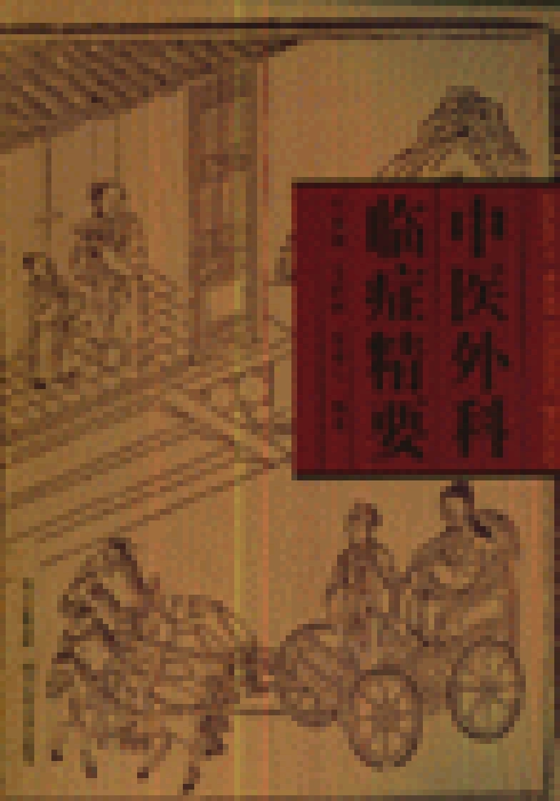 中医外科临证精要-四书格