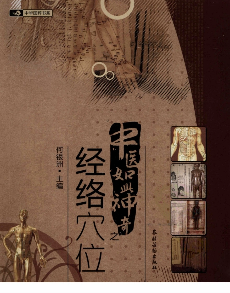 中医如此神奇之经络穴位（高清版）-四书格