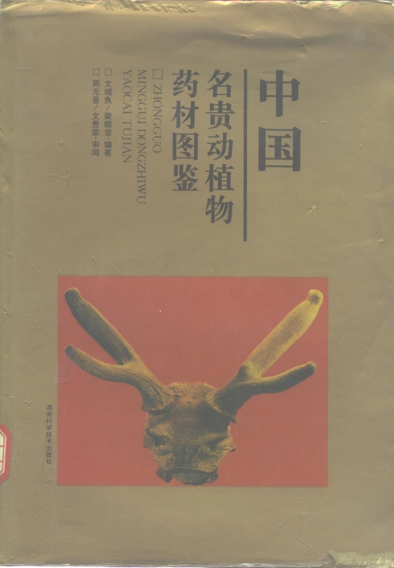 中国名贵动植物药材图鉴-四书格