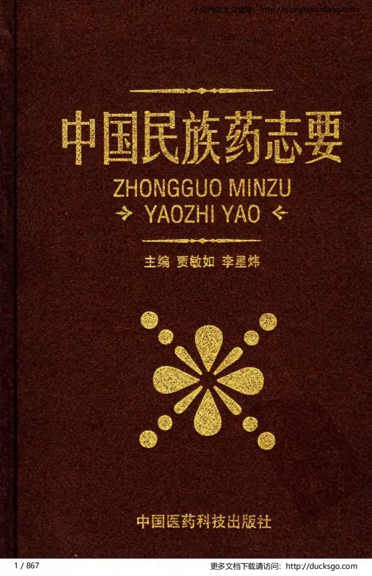中国民族药志要（贾敏如、李星炜）-四书格