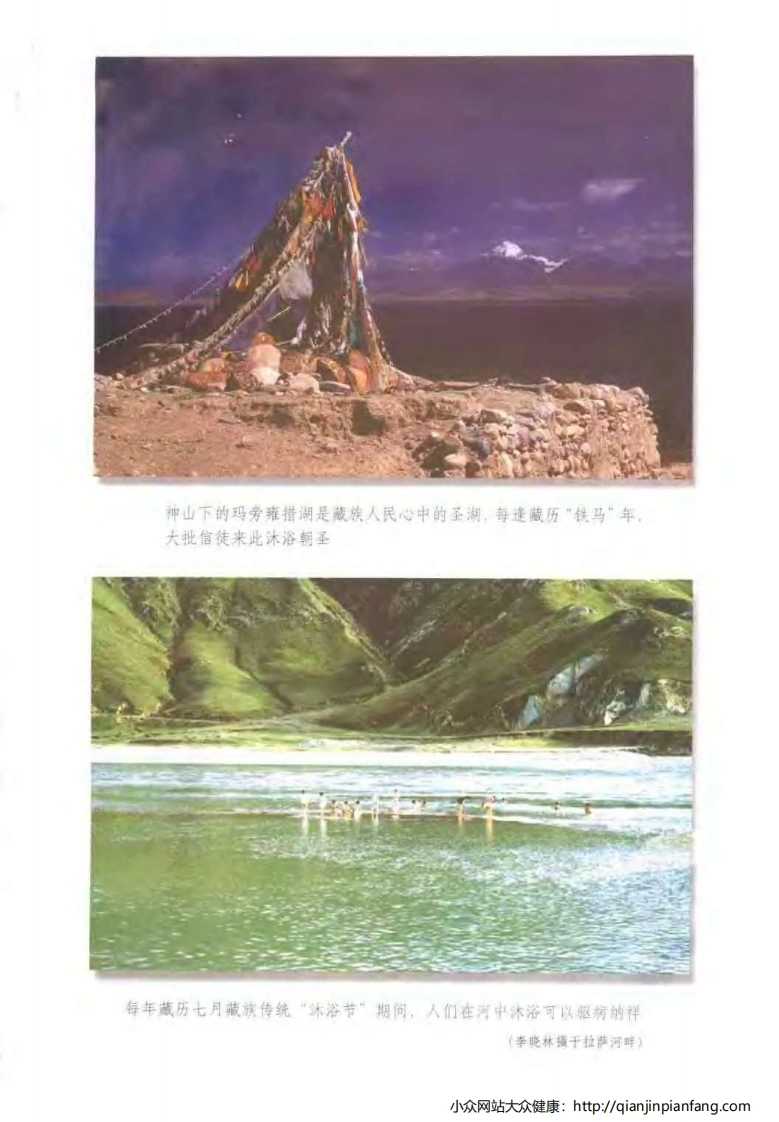 中国藏药浴（黄福开）-四书格