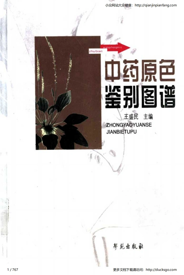 中药原色鉴别图谱（王盛民）（高清版）