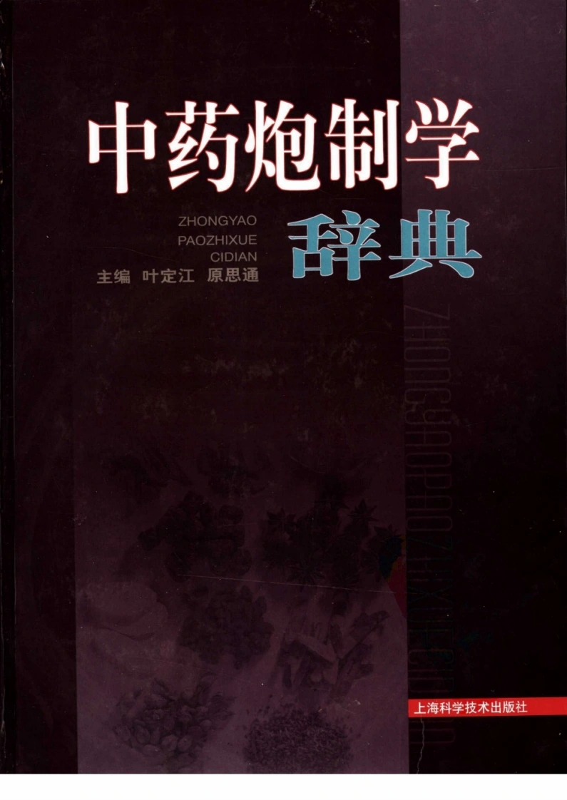 中药炮制学辞典（叶定江.原思通主编）-四书格