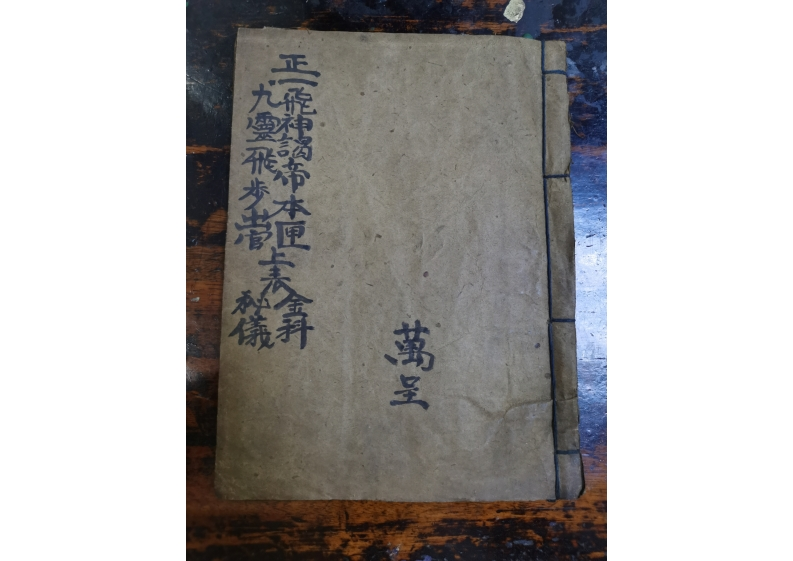 九灵飞步甲戌本