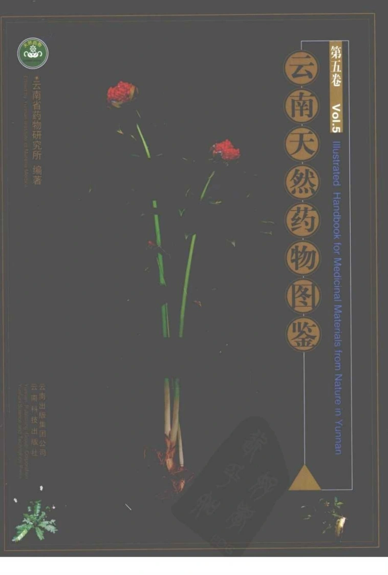 云南天然药物图鉴（第五卷）