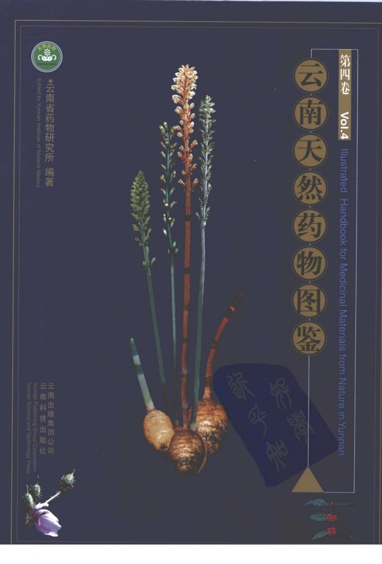 云南天然药物图鉴（第四卷）