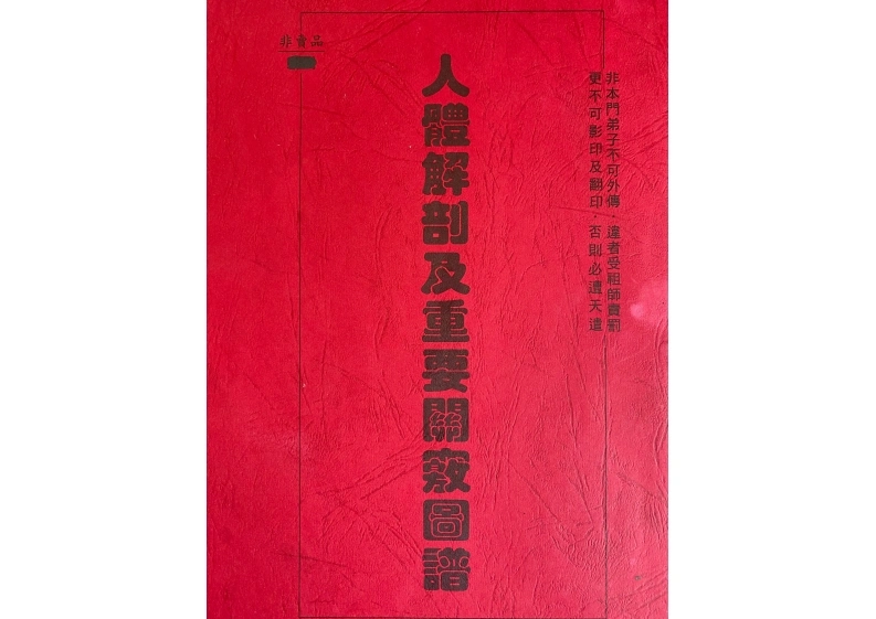 人体解剖及重要关窍图谱-四书格