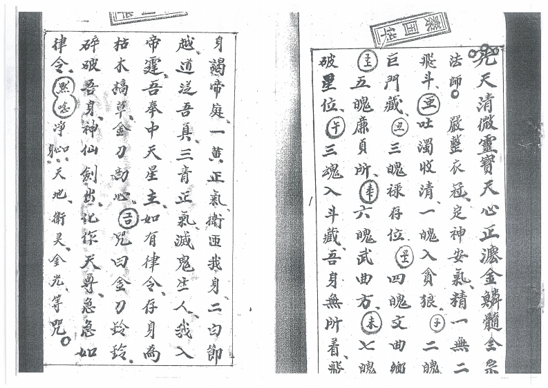 先天清微灵宝天心正派金麟髓全宗-四书格