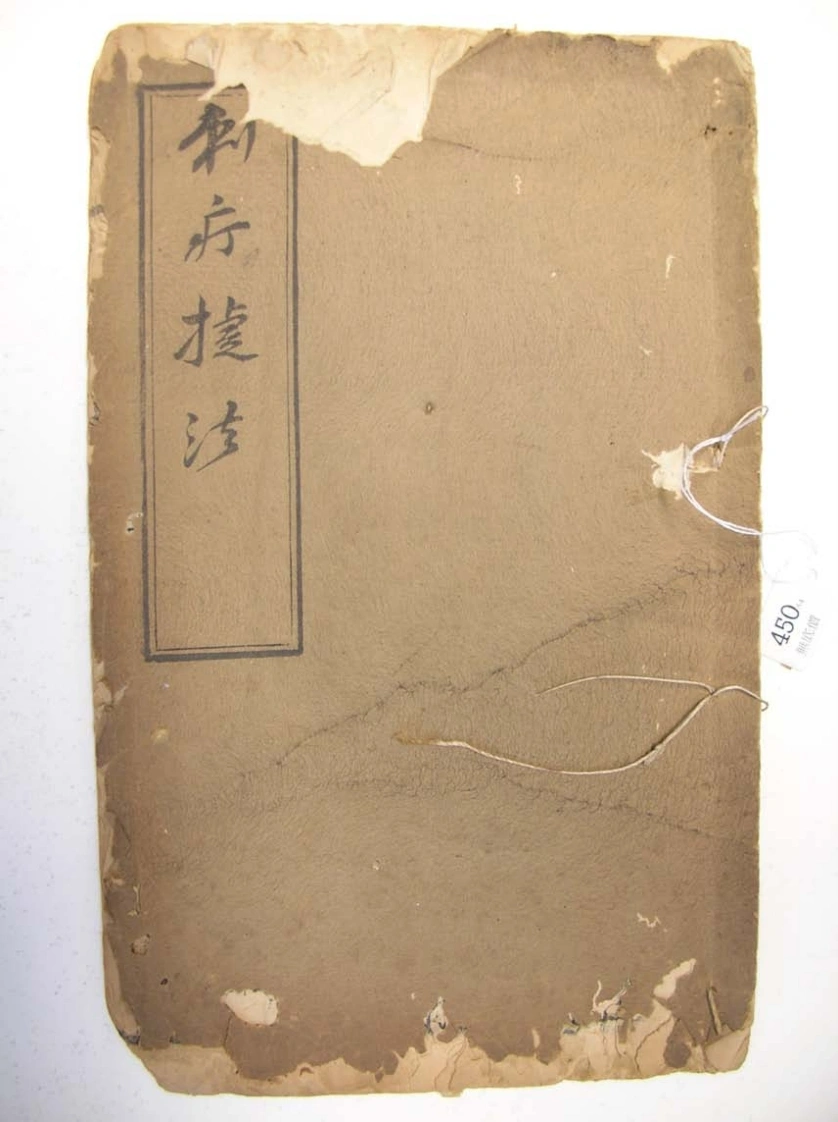 刺疔捷法pdf（另一个版本，相机版）