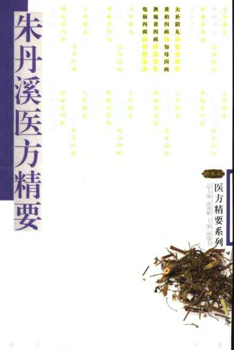 医方精要系列—朱丹溪医方精要（高清版）-四书格