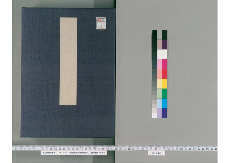 医范提纲内象铜版図