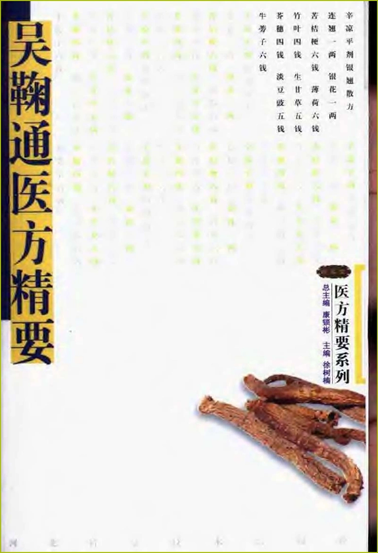 吴鞠通医方精要-四书格