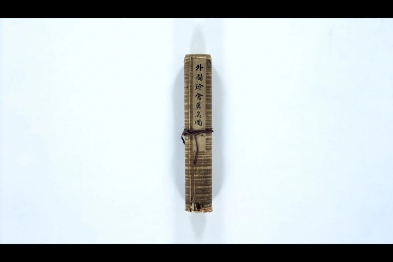 外国珍禽异鸟图-四书格