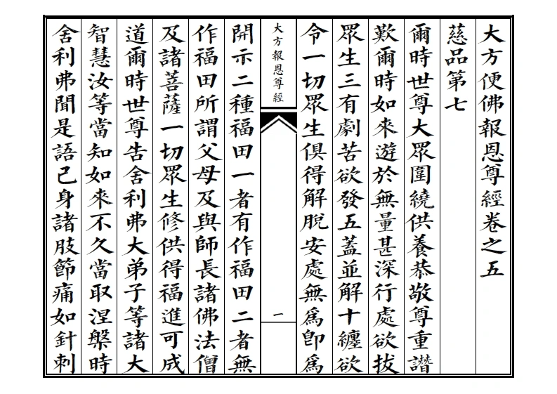 大方便佛报恩尊经卷之五-四书格