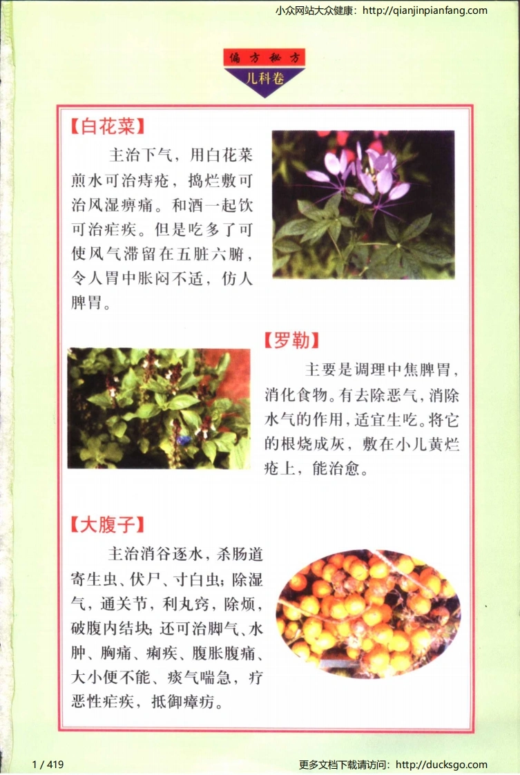 实用偏方秘方经典-儿科（张家林）-四书格