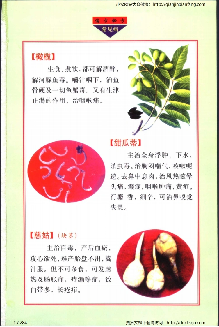 实用偏方秘方经典-常见病（张家林）