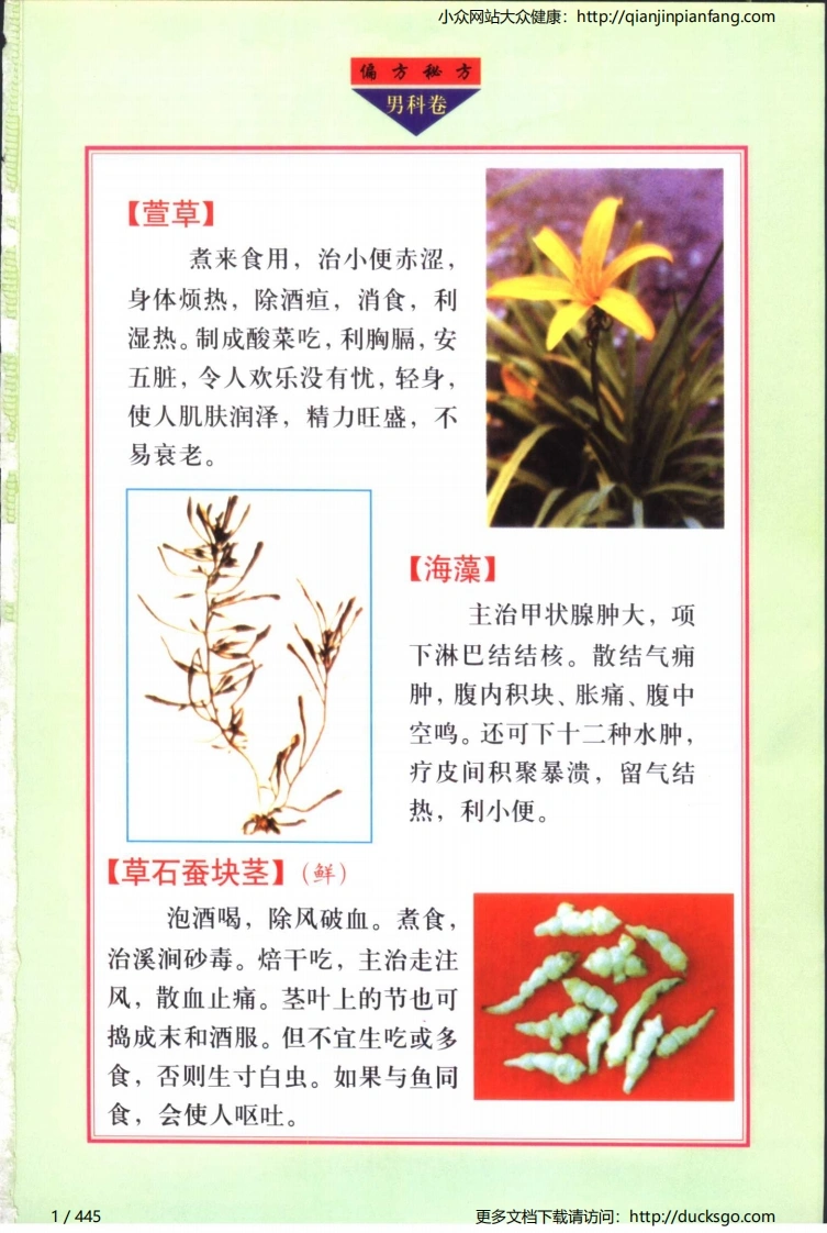 实用偏方秘方经典-男科（张家林）-四书格