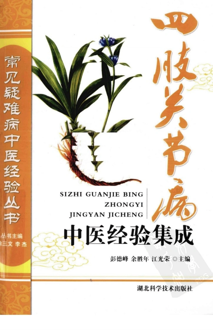 常见疑难病中医经验丛书—四肢关节病中医经验集成（高清版）-四书格