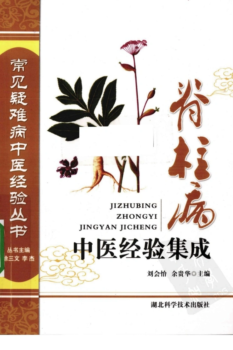 常见疑难病中医经验丛书—脊柱病中医经验集成（高清版）-四书格