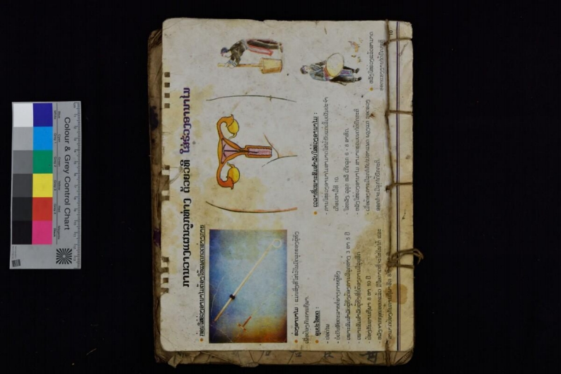 延生目神目科29页-四书格