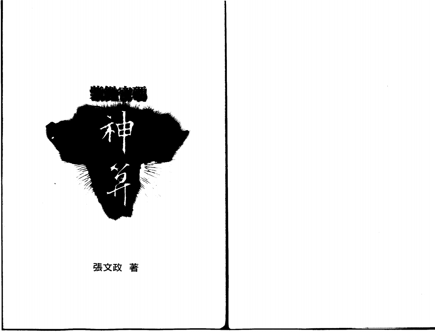张文政-紫微密码神算