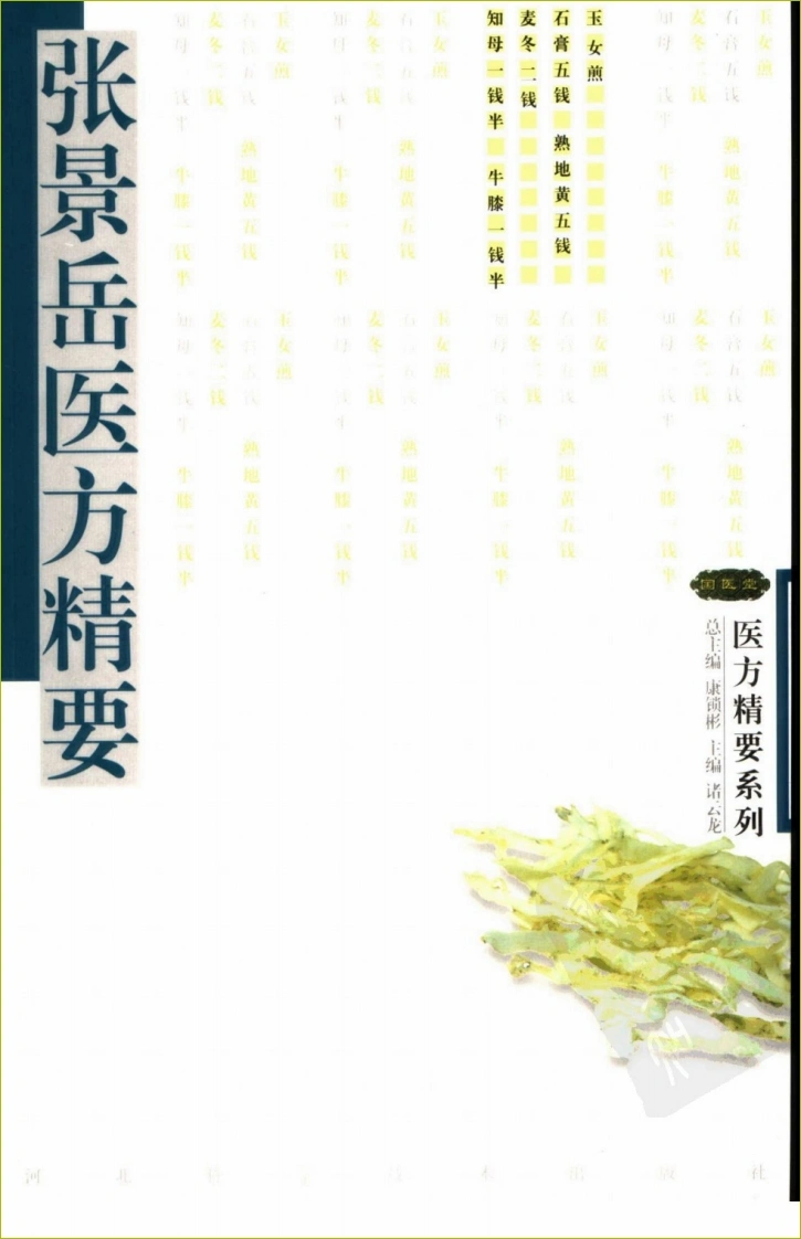 张景岳医方精要-四书格