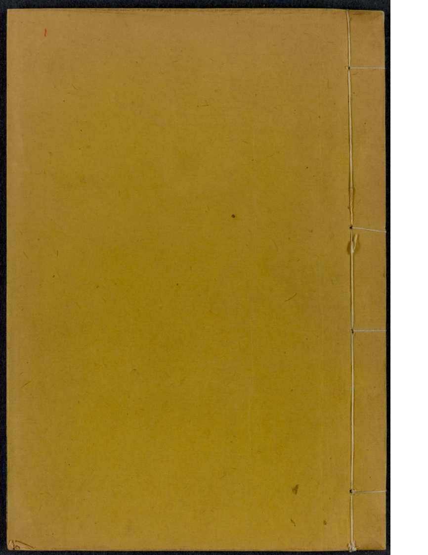 扁鹊心书-四书格