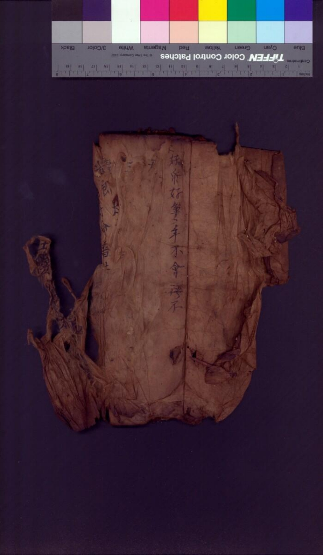 招兵科·戊-四书格