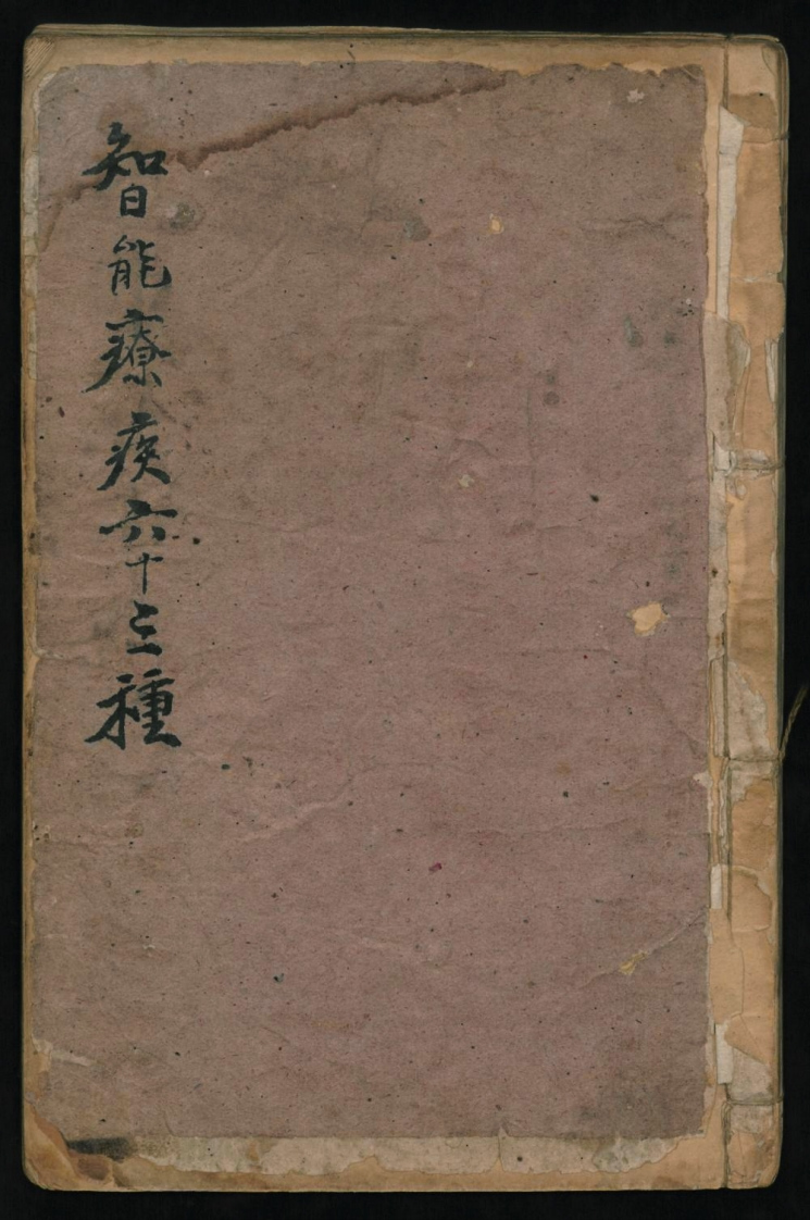 智能疗疾六十三种-四书格