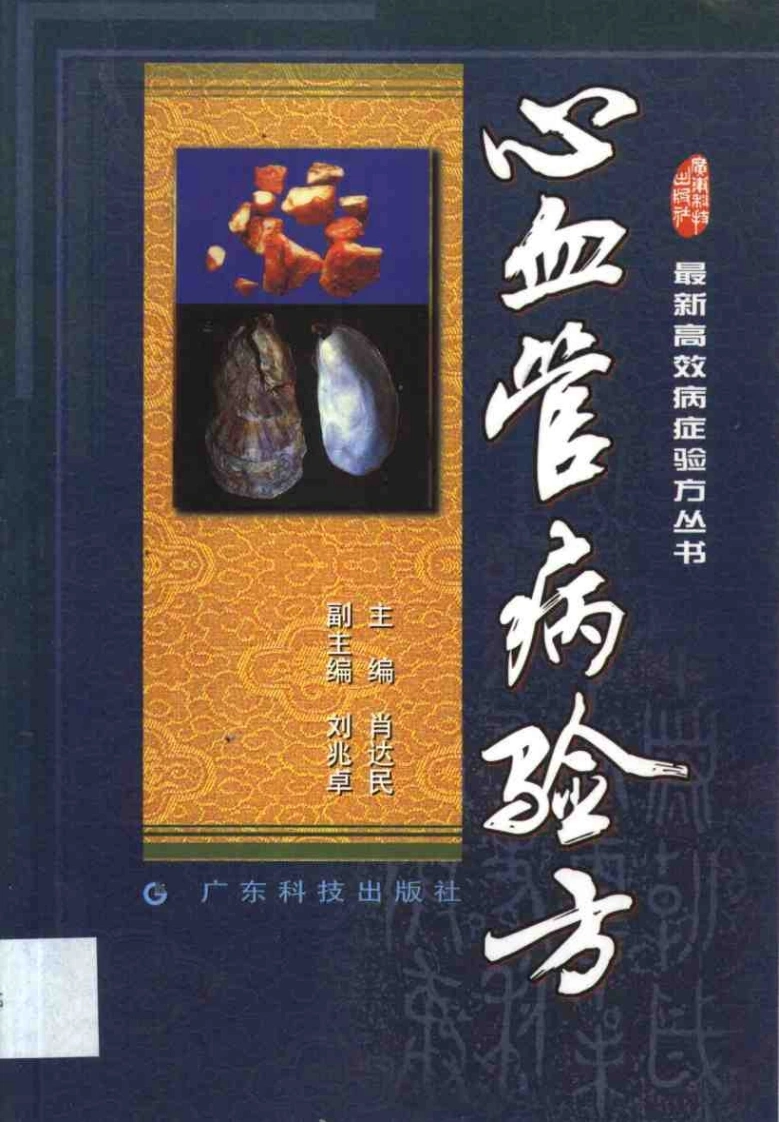 最新高效病症验方丛书心血管病验方（扫描版）-四书格