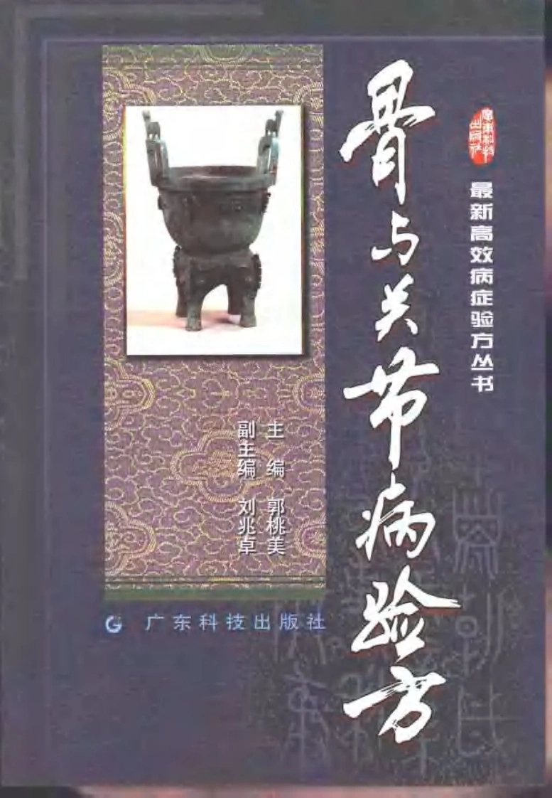 最新高效病症验方丛书骨与关节病验方（扫描版）-四书格