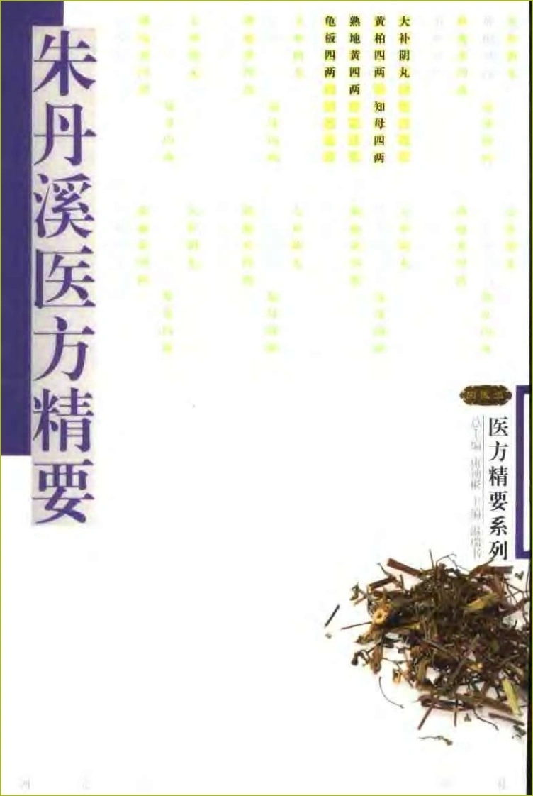朱丹溪医方精要-四书格