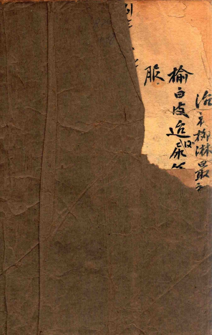 民国怪病奇治朱振声-四书格