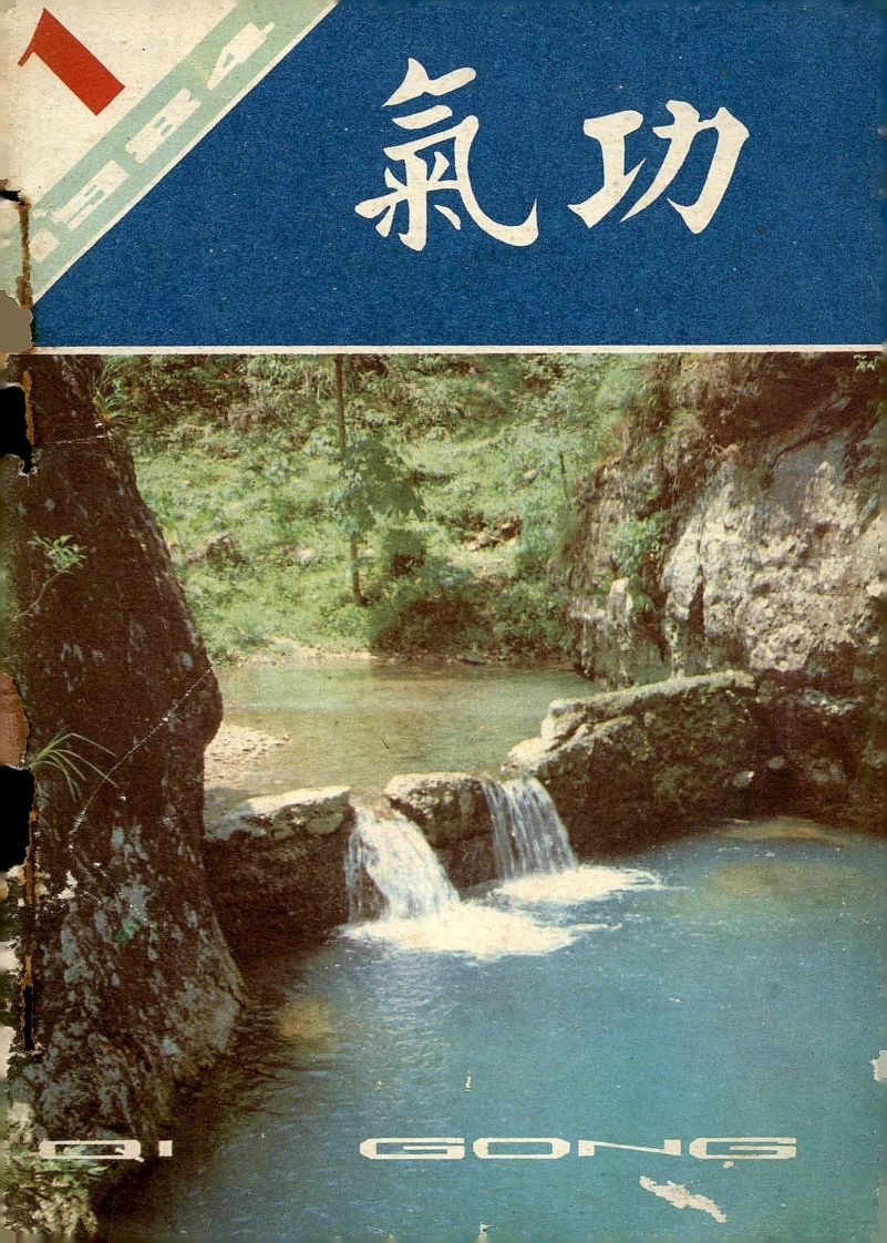 气功1984第一期-四书格
