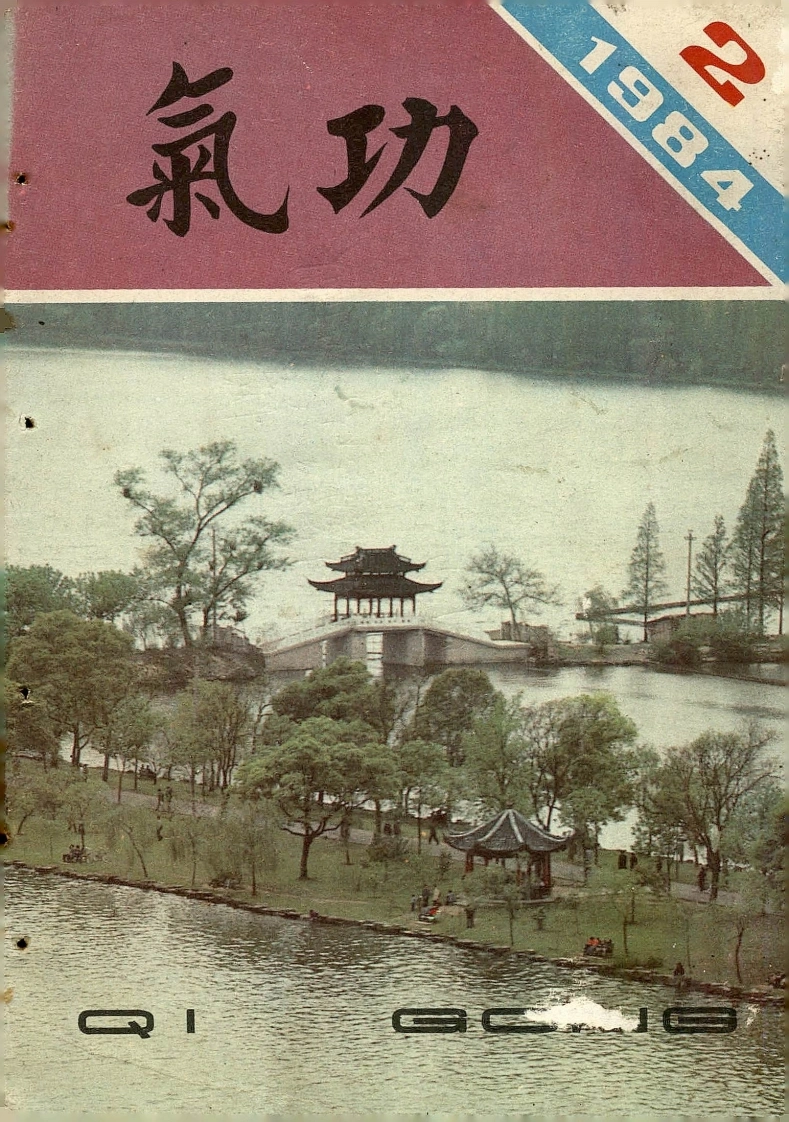 气功1984第二期-四书格