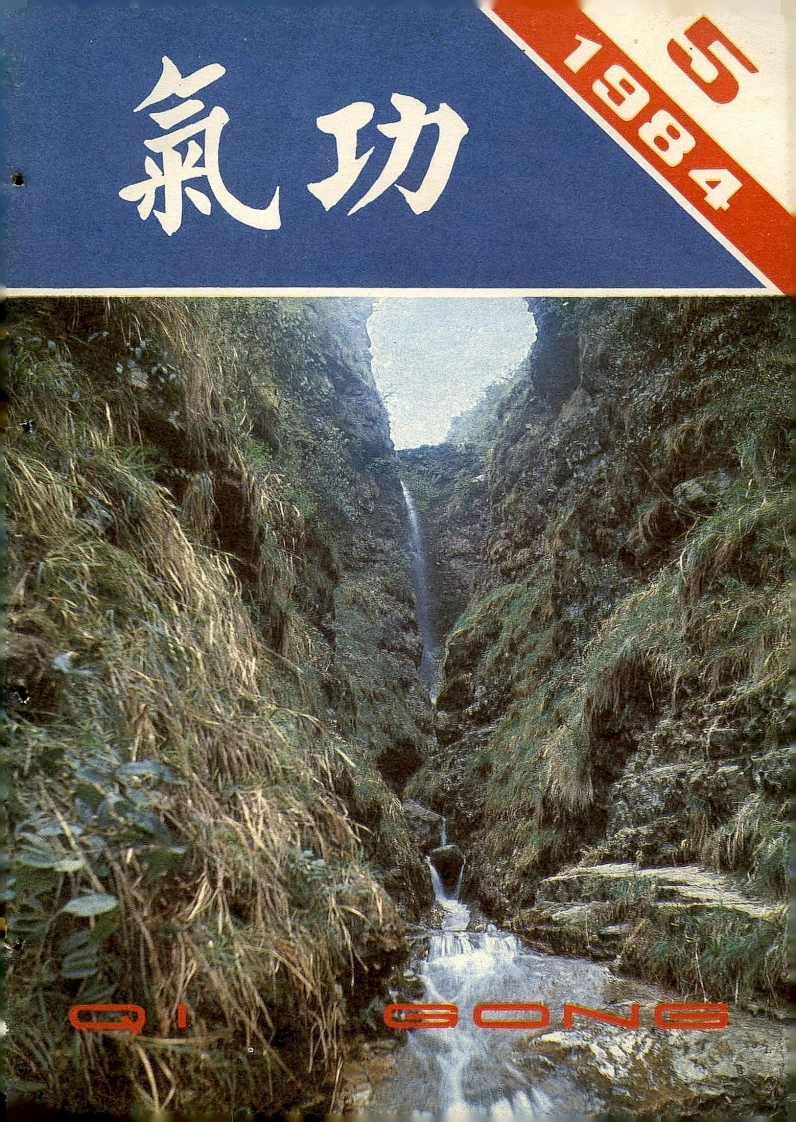 气功1984第五期-四书格