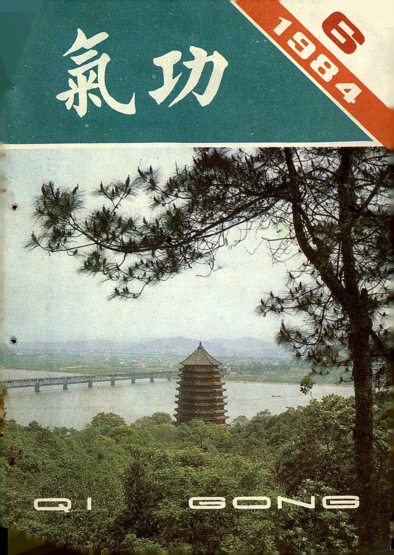 气功1984第六期-四书格